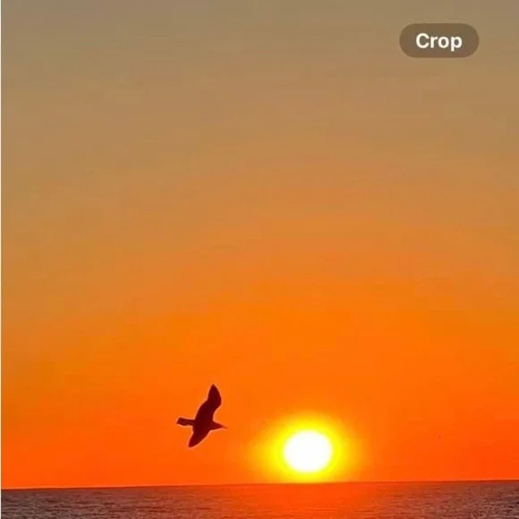 UNLISTED INVENTORY FOR A LIVE SHOW - Picture 1 of 1